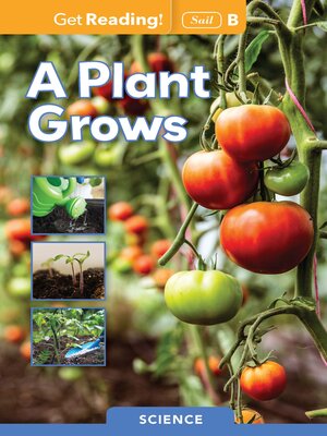 cover image of A Plant Grows